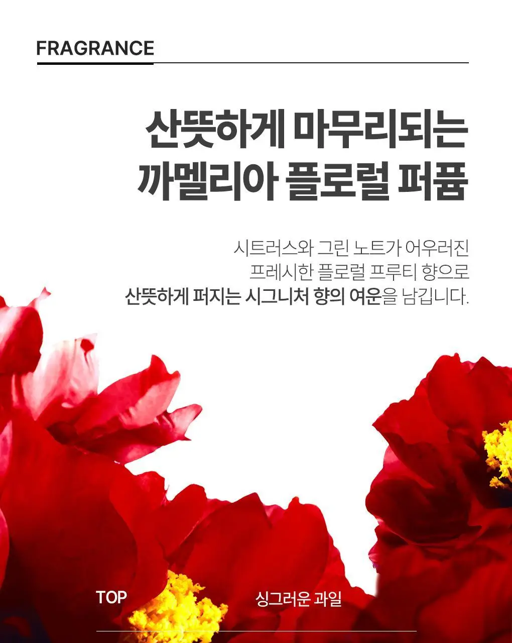 [두피모발강화] 츠바키 프리미엄 EX 헤어 폴 케어 & 리페어 샴푸 450ml 상세페이지 18
